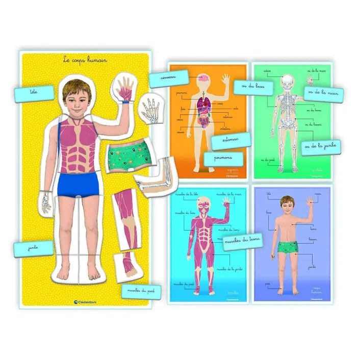 Clementoni Education Le corps humain 3-6ans 3 - 5 ans -