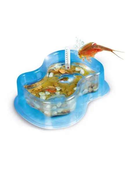 Clementoni Science & Jeu - Mes premiers triops 8ans+ Accueil -