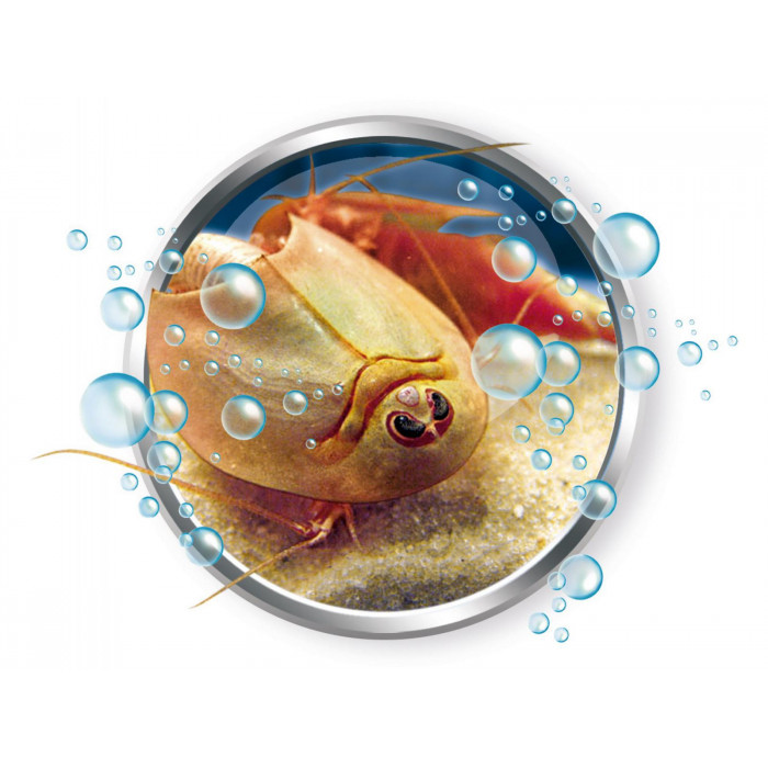 Clementoni Science & Jeu - Mes premiers triops 8ans+ Accueil -