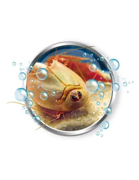 Clementoni Science & Jeu - Mes premiers triops 8ans+ Accueil -