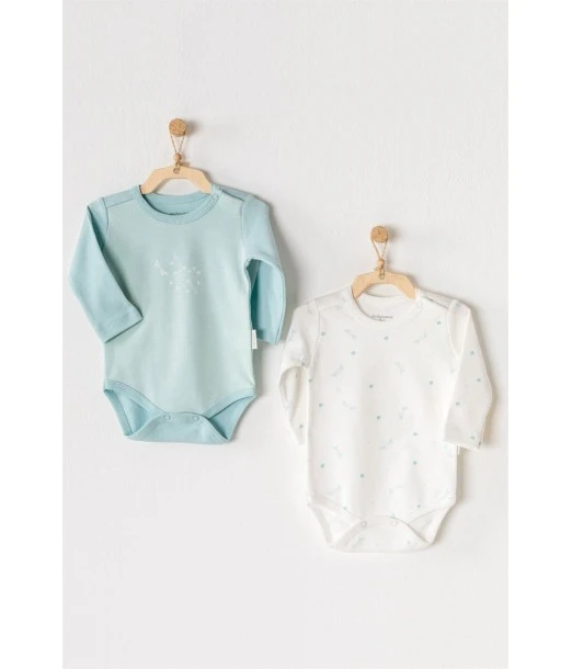 Pack of 2 Dragonfly long-sleeved 100% cotton bodysuits