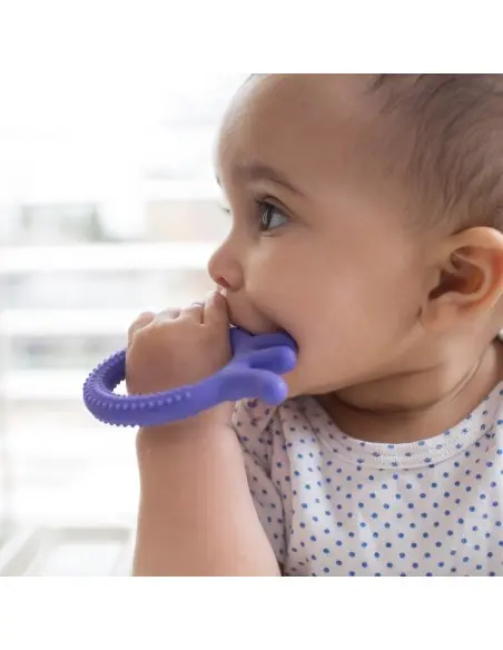 Dr Brown's octopus teething ring Flexees Friends from 3 months — photo 2