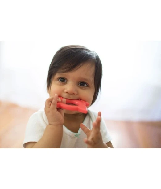 Dr Brown's Flexees Friends teething ring Fox from 3 months 2