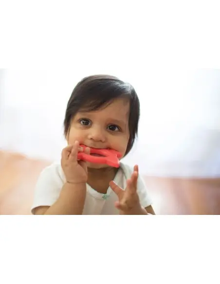 Dr Brown's Flexees Friends teething ring Fox from 3 months — photo 2