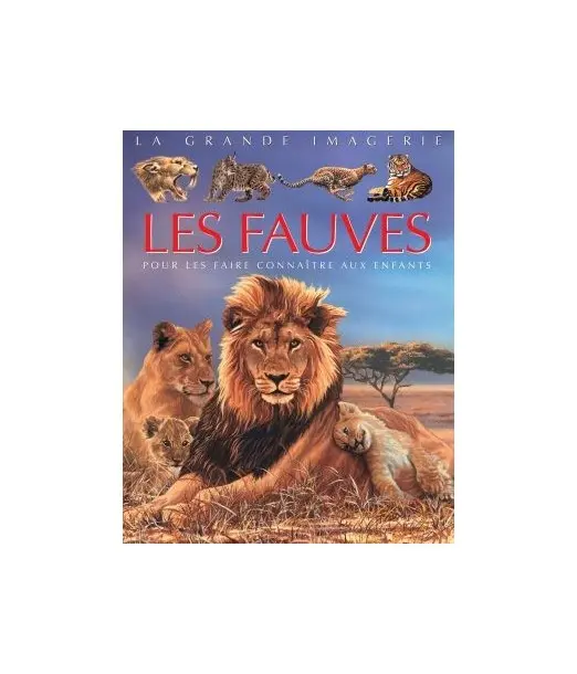La Grande imagerie: Les fauves Livres & Activités - Maroc