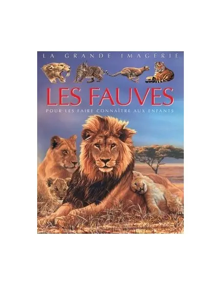 La Grande imagerie: Les fauves Livres & Activités - Maroc