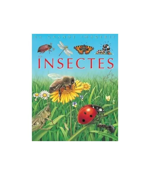 La grande imagerie: Insectes Livres & Activités - Maroc