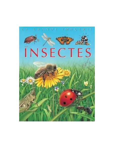 La grande imagerie: Insectes Livres & Activités - Maroc