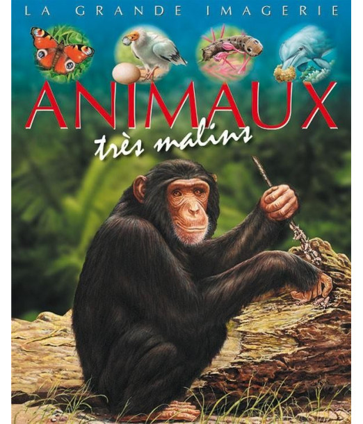La grande imagerie: Animaux très malins Livres & Activités - 