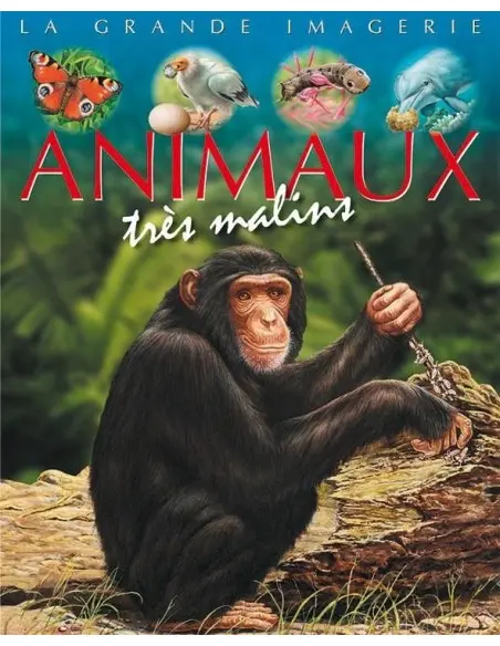 La grande imagerie: Animaux très malins Livres & Activités - 