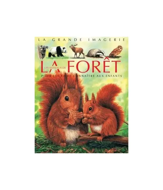 La grande imagerie: La forêt Livres & Activités - Maroc