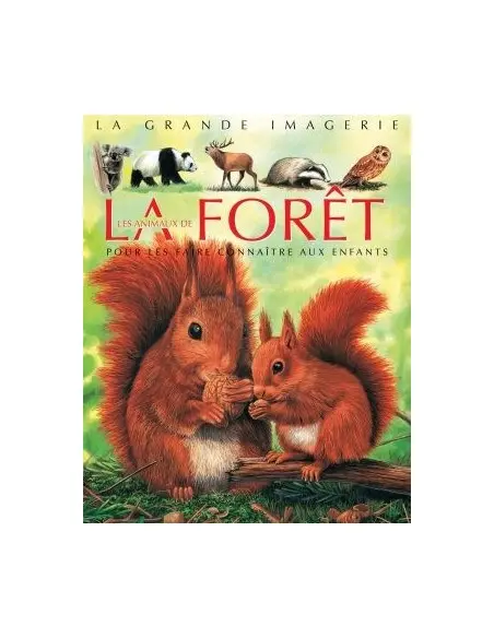 La grande imagerie: La forêt Livres & Activités - Maroc
