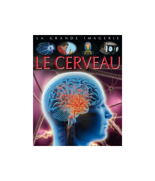 La grande imagerie: Le cerveau Livres & Activités - Maroc