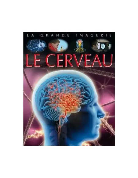 La grande imagerie: Le cerveau Livres & Activités - Maroc