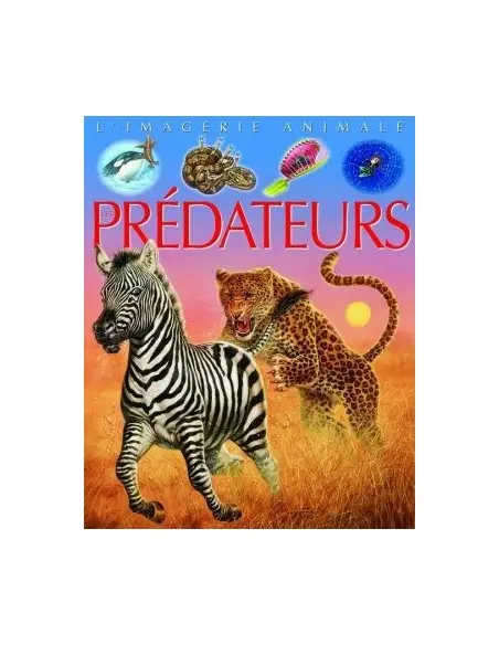 La grande imagerie: Prédateurs Livres & Activités - Maroc