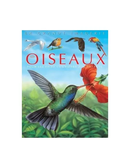 La grande imagerie: Les oiseaux Livres & Activités - Maroc