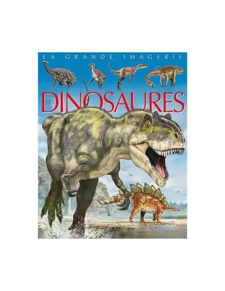 La grande imagerie: les dinosaures Livres & Activités - Maroc