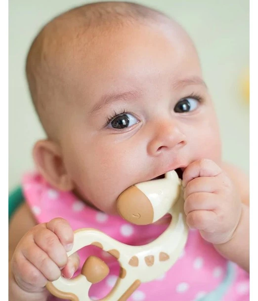 Dr Brown's Giraffe teething ring 3m+ 2