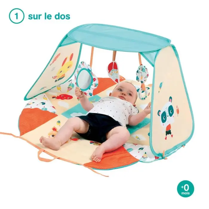 Ludi Tapis d'Eveil et d'Activité Modulable Tapis d'éveil -