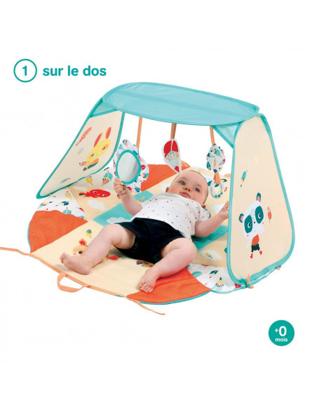 Ludi Tapis d'Eveil et d'Activité Modulable Tapis d'éveil -