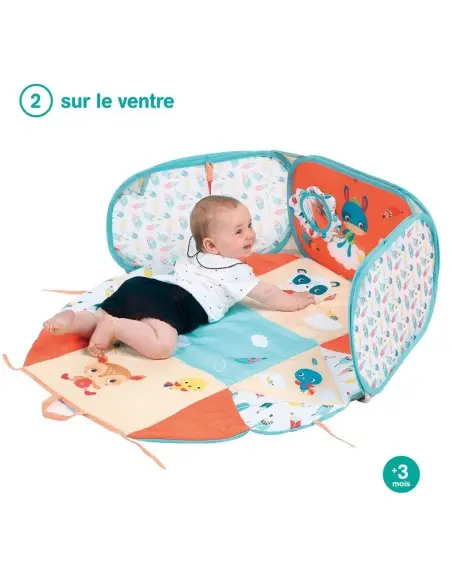 Ludi Tapis d'Eveil et d'Activité Modulable Tapis d'éveil -