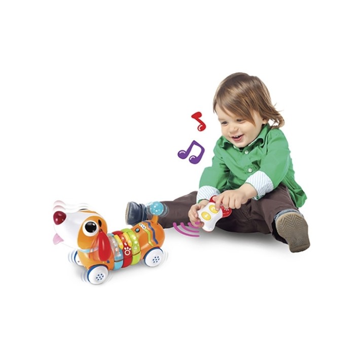 Winfun Chien Color Rc 18 mois + Univers Bébé - winfun Maroc