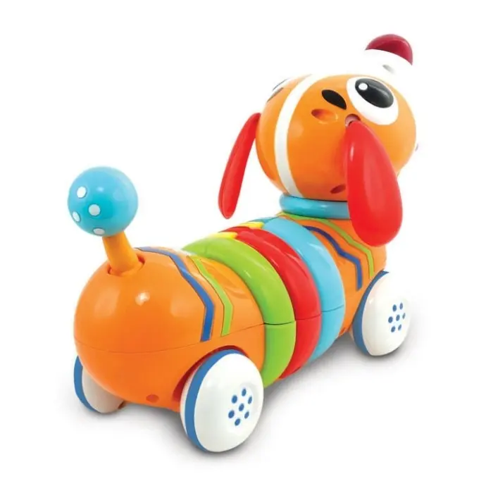 Winfun Chien Color Rc 18 mois + Univers Bébé - winfun Maroc