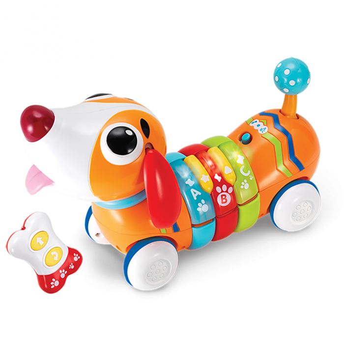 Winfun Chien Color Rc 18 mois + Univers Bébé - winfun Maroc