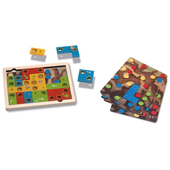 Cayro Mole Jeu D'encastrement 5 ans + Univers Enfant - Cayro