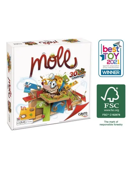 Cayro Mole Jeu D'encastrement 5 ans + Univers Enfant - Cayro