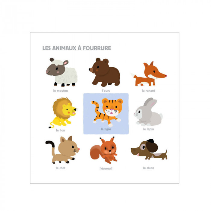 Mon grand imagier à toucher 3 ans + Livres & Activités - Maroc