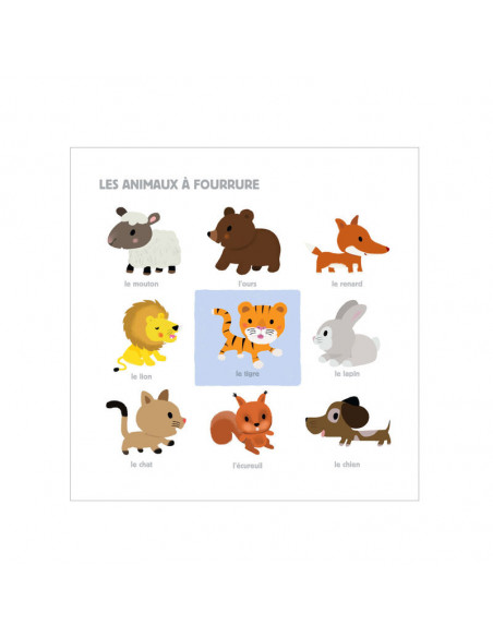 Mon grand imagier à toucher 3 ans + Livres & Activités - Maroc