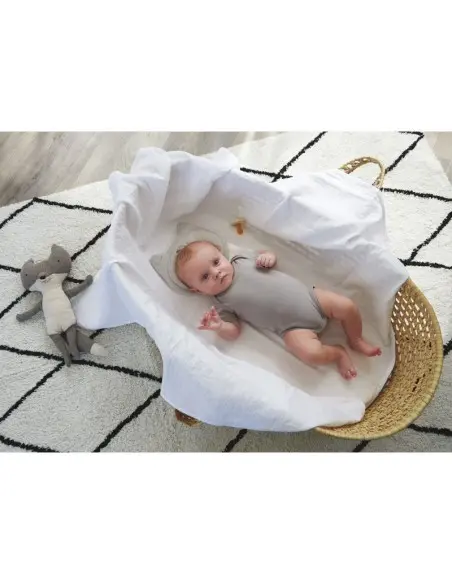 Tinéo Cale-tête P'tit Loup 0-6 mois Cale Bébé - Tinéo Maroc