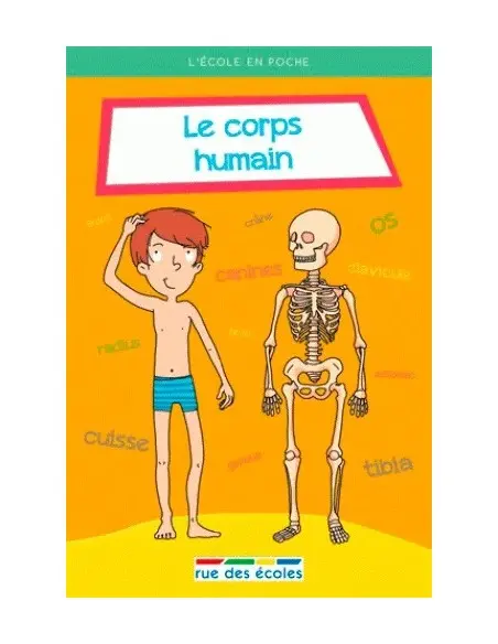 Rue des écoles Le corps humain Livres & Activités - rue des