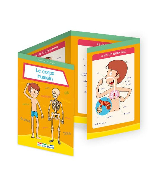 Rue des écoles Le corps humain Livres & Activités - rue des 2