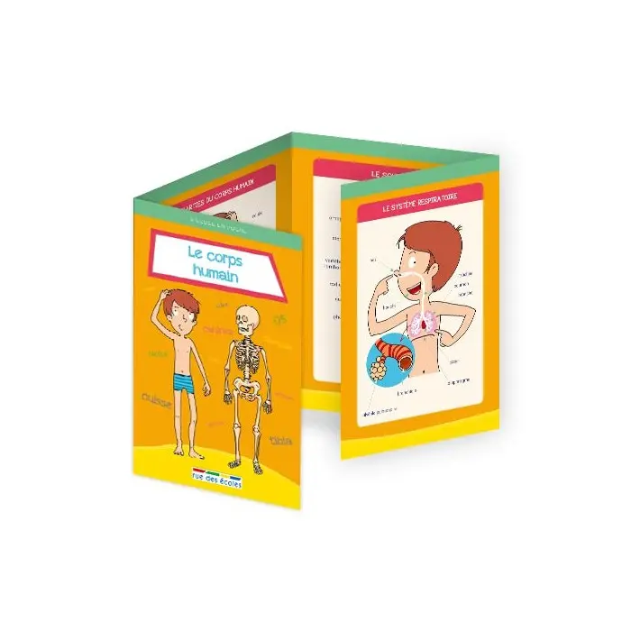 Rue des écoles Le corps humain Livres & Activités - rue des