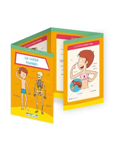 Rue des écoles Le corps humain Livres & Activités - rue des