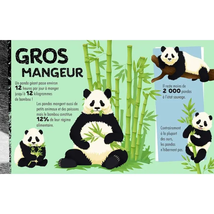 NuiNui Construis en 3D un Panda géant Livres & Activités -