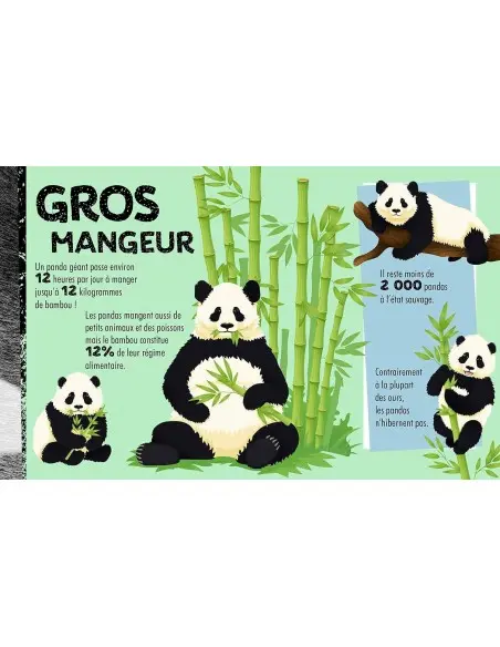 NuiNui Construis en 3D un Panda géant Livres & Activités -